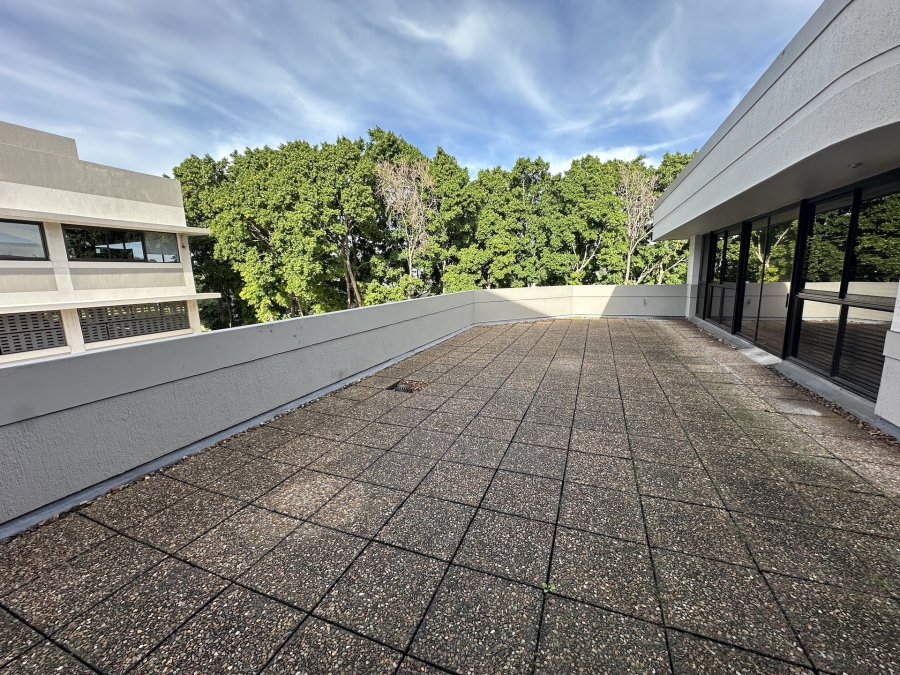 To Let commercial Property for Rent in Mowbray Western Cape